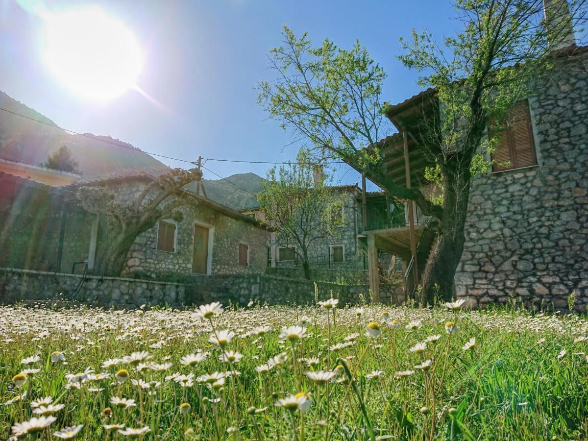 1935 Home Lílaia Esterno foto